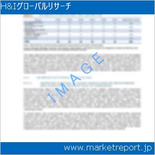 市場と産業調査レポートのイメージ